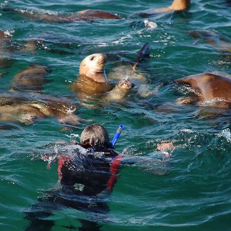 Del Nomade Hosteria Ecologica Puerto Pirámides Dış mekan fotoğraf